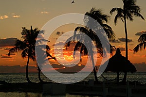 Sunrise Florida Keys