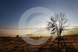 Sunrise with fog at autumn