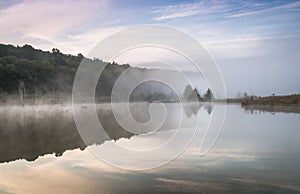 Sunrise fog at Pleasant Creek