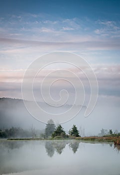 Sunrise fog at Pleasant Creek