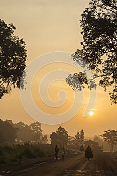 Sunrise in foggy morning near Nangur Village near Jagdalpur,Chhattisgarh, India