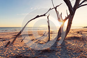 Sunrise at Folly Beach