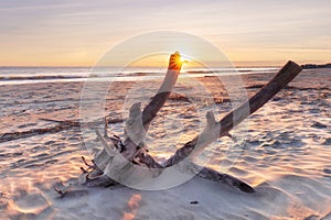 Sunrise at Folly Beach