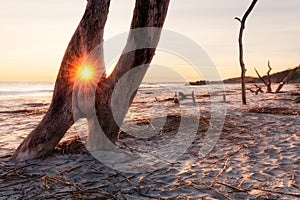 Sunrise at Folly Beach