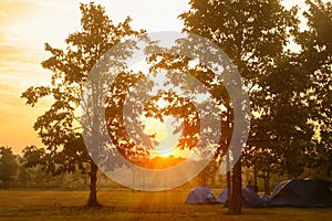 Sunrise in the forest with camping tent