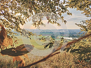 sunrise from the forest with sunset in autumn with meadows in the background