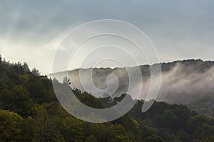 Sunrise through forested hills shrouded by fog