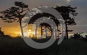 Sunrise at Fort Worden Historical State Park, Olympic Peninsula, Washington