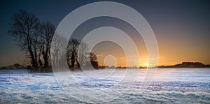 Sunrise On Frosted Tree Lined Field