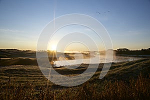 Sunrise on the golf course with mist and migration birds