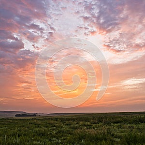 Sunrise and grassland photo