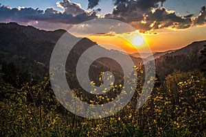 Sunrise In The Great Smoky Mountains National Park