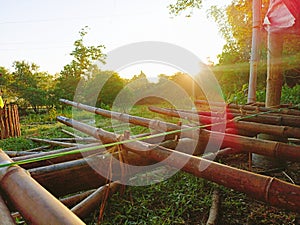 Sunrise in the green trees setting at bamboo pole construction in grassland