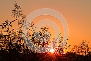 Sunrise with halo around the sun