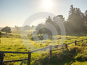 Sunrise Through Haze on Pasture Land