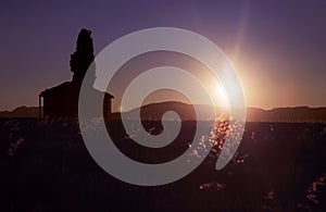 Sunrise highlighting dry grass and lavender, silhouetting small stone shack