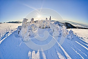 Sunrise on the hill Kosarisko in Low Tatras mountains