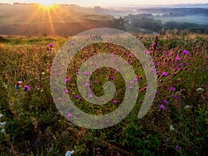 Sunrise in hills in Russia photo