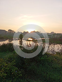 sunrise in Indonesian rice fields