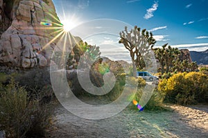 Sunrise in Joshua Tree National Park