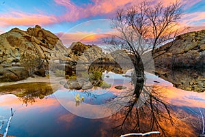 Sunrise in Joshua Tree National Park photo