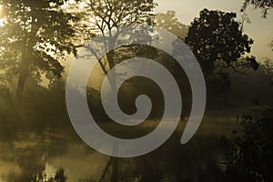 Sunrise on the jungle, Bardia national park, Nepal