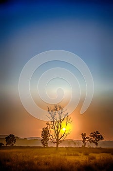 Sunrise, Kanha national park, India