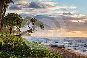 Sunrise in Kauai, Hawaii photo
