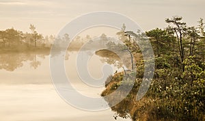 Sunrise in the Kemeri bog in autumn morning. Foggy swamp. Kemeri, Latvia