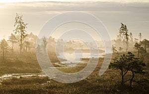 Sunrise in the Kemeri bog in autumn morning. Foggy swamp. Kemeri, Latvia