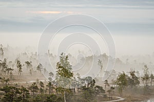 Sunrise in the Kemeri bog in autumn morning. Foggy swamp and wooden walking trail. Kemeri, Latvia