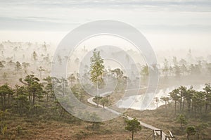 Sunrise in the Kemeri bog in autumn morning. Foggy swamp and wooden walking trail. Kemeri, Latvia