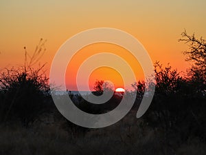 Sunrise in the Kruger National Park