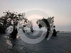 Sunrise Kuakata Bay of Bengal