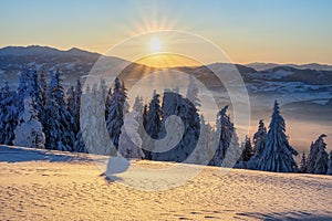 Sunrise on Kubinska Hola mountain near Mincol peak during winter