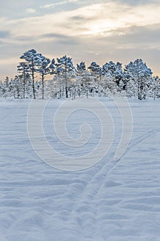 Sunrise at KÃµnnu Suursoo bog