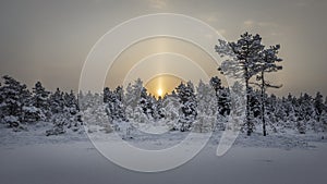 Sunrise at KÃµnnu Suursoo bog