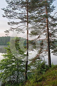 Sunrise on the lake