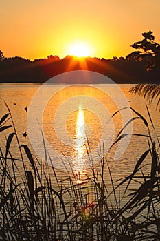 Sunrise at the lake with halo round