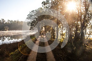 Sunrise by a lake in Kanha National Park, India