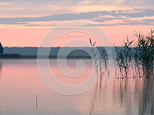 Sunrise landscape on Masuria. Reeds relfections. Seksty lake