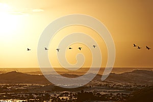 Sunrise landscape, waves and birds flying over ocean rocks, clouds and golden sky in beach. Morning, scenic view and