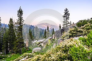 Sunrise landscape in Yosemite National Park photo