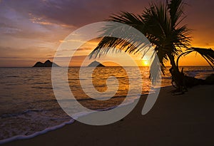 Sunrise at lanikai beach in Hawaii photo