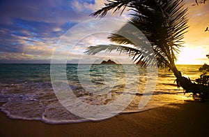 Sunrise at lanikai beach in Hawaii