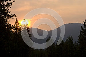 Sunrise, Lolo National Forest, Montana photo