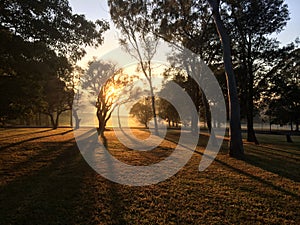 The sunrise in Macquarie University