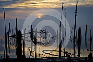 Sunrise Manasquan Reservoir