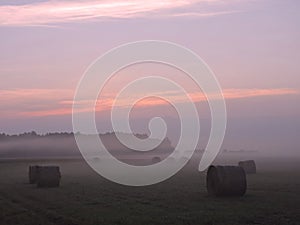 Sunrise in meadow, Lithuania