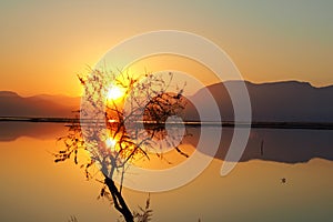 SUNRISE AT MESSOLONGHI LAGOON - GREECE